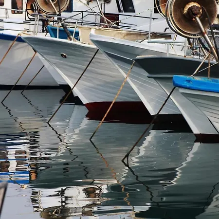 Novigrad *